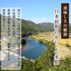 ◎令和5年産◎四万十ふるさとの味「香るお米」十和錦オススメ３点セット／Bib-03