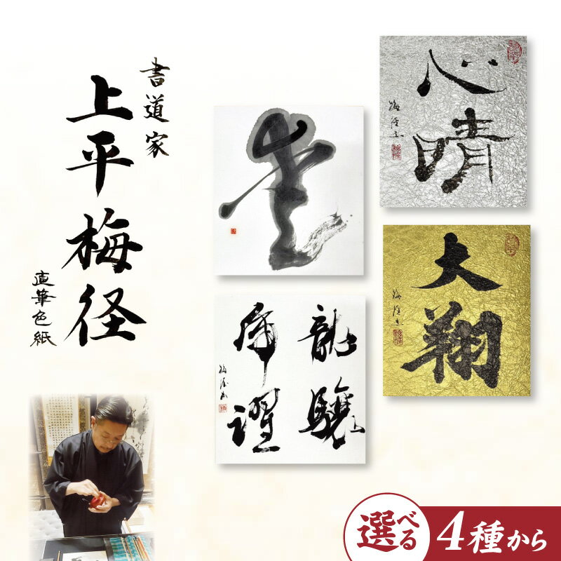 【ふるさと納税】世界的書家直筆 漢字書 色紙1枚 上平梅径 伝統と現代のアート オーダーメイド 作品 贈り物 インテリア 記念品 名入れ 自分用 書道家 直筆 原画 贈答用 プレゼント用 アートパネル 大阪府 泉佐野市 送料無料