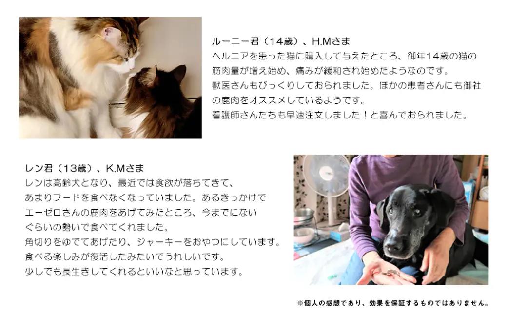 ペット用 鹿肉 ジビエ 2kgセット（250g×8）｜高タンパク低脂肪 犬・猫用 A-JK-A11A