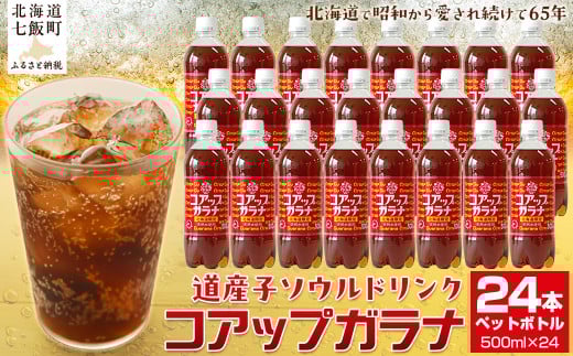 コアップガラナ24本セット（500mlペットボトル） ふるさと納税 人気 おすすめ ランキング コアップガラナ ガラナ 道産子ソウルドリンク 北海道代表 ご当地 北海道 七飯町 送料無料 NAQ003