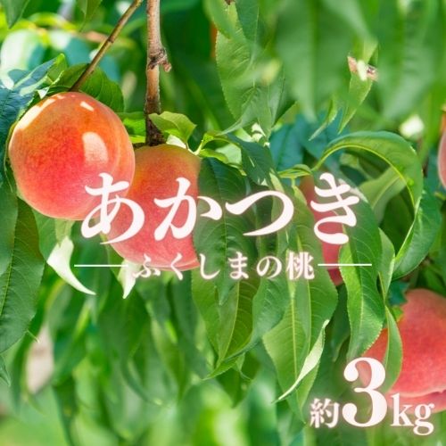 【ふるさと納税】No.2412もも「あかつき」約3kg【2025年発送】