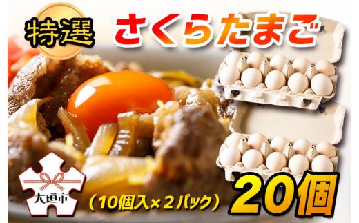 
            ＼高評価★／新鮮 さくらたまご 20個 新鮮な卵 (発送当日・または前日に採れた卵)  純国産鶏 里山 たまご タマゴ 卵 玉子 にわとり ニワトリ 鶏 松島飼料店 岐阜県 大垣市
          