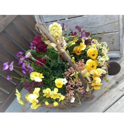 ふるさと納税 上郡町 お花一杯バスケット寄せ植えLサイズ(35cm程度)季節の寄せ植え |  | 01