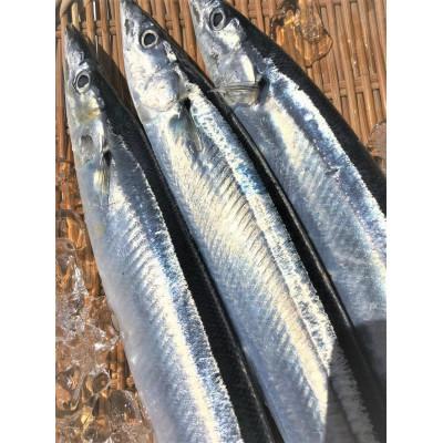 ふるさと納税 いわき市 福島県産コシヒカリ(精米)5kg+鮮さんま2kg(15〜20尾)【複数個口で配送】 |  | 01