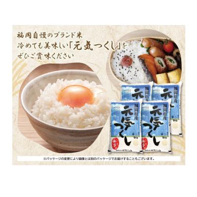 ふるさと納税 福智町 令和7年産 無洗米 元気つくし20kg |  | 03