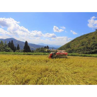 ふるさと納税 魚沼市 【令和8年産先行受付】魚沼産ミルキークイーン　精米5kg |  | 01