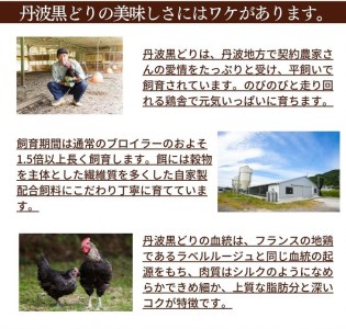 【訳あり 緊急支援】地鶏 丹波黒どり 手羽元 4kg＜京都亀岡丹波山本＞500g ×8パック 冷凍限定《特別返礼品 鶏肉 小分け 国産鶏 国産鶏肉 京都府産鶏肉 京都産鶏肉 地鶏鶏肉 鶏肉地鶏 鶏肉大