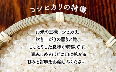【先行予約 令和7年産】石川県かほく市産 こしひかり 6kg（2kg × 3袋） 特別栽培米【2025年10月より順次発送】| 新米 コシヒカリ 小分け 精米 白米 お米 こめ コメ 6キロ 単一原料