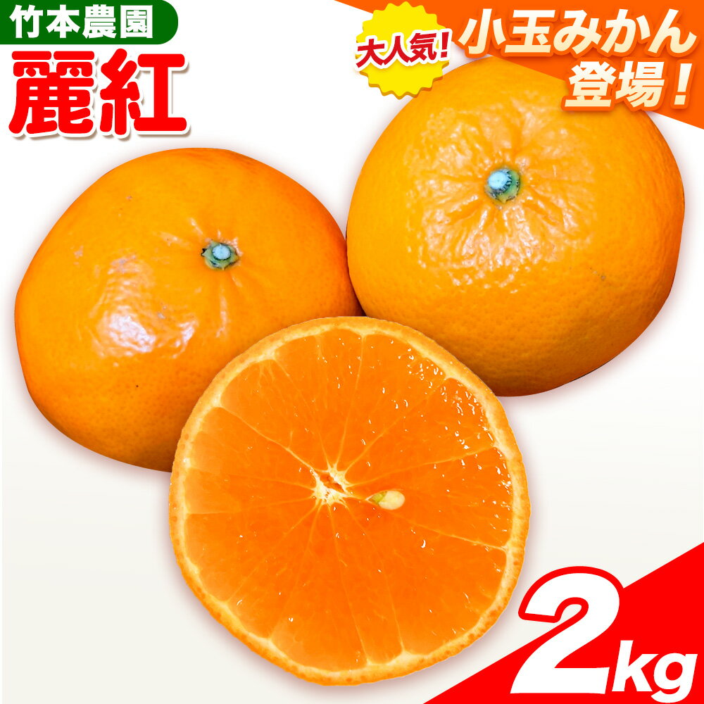 【ふるさと納税】知る人ぞ知る柑橘の女王。麗紅 (れいこう) 2kg サイズ おまかせ《2026年2月中旬-5月中旬頃出荷》竹本農園 和歌山県 日高川町 旬 新鮮 果物 柑橘 フルーツ 国産 送料無料 お試し サイズ 2000g みかん 高級柑橘 希少品種