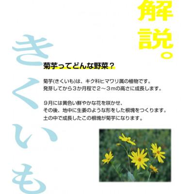 ふるさと納税 遠野市 菊芋パウダー5個セット |  | 01