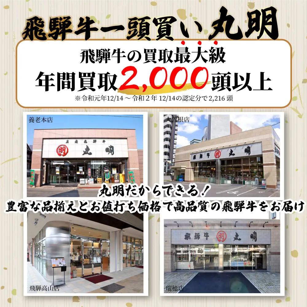 牛肉 A5 飛騨牛 ブロック 3種食べ比べ 1.8kg（サーロイン500g もも800g ヒレ500g） 牛肉 LR002