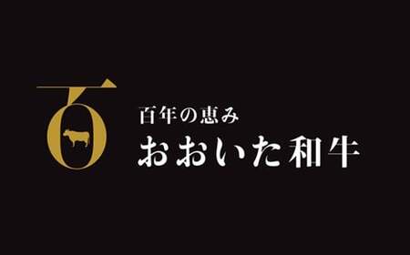 おおいた和牛特製ハンバーグ170g×10個(計1700g)【匠牧場】<102-031_5>