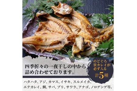 のどくろ、笹カレイ入り 一夜干し詰め合わせ ゴールド