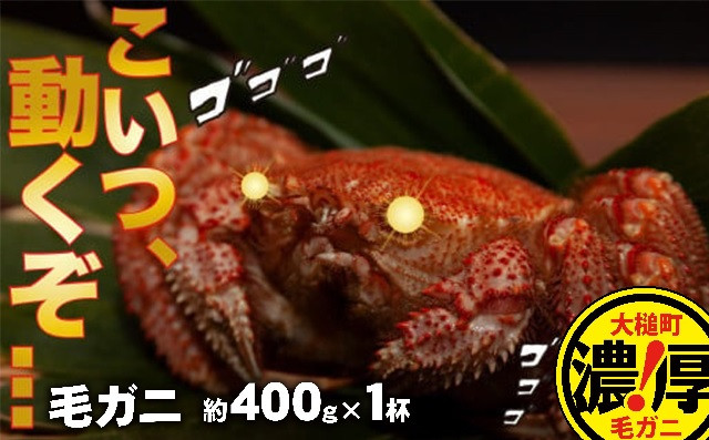 
            【令和8年発送先行予約】三陸産！活毛ガニ 400g×1杯【2026年2月～4月発送】【08】
          