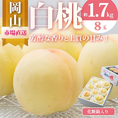 【2026年発送】岡山県産　白桃8玉(1.7kg以上)　化粧箱入り【配送不可地域：離島・北海道・沖縄県】