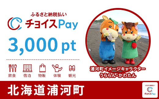 
            浦河町チョイスPay 3,000pt【会員限定のお礼の品】
          