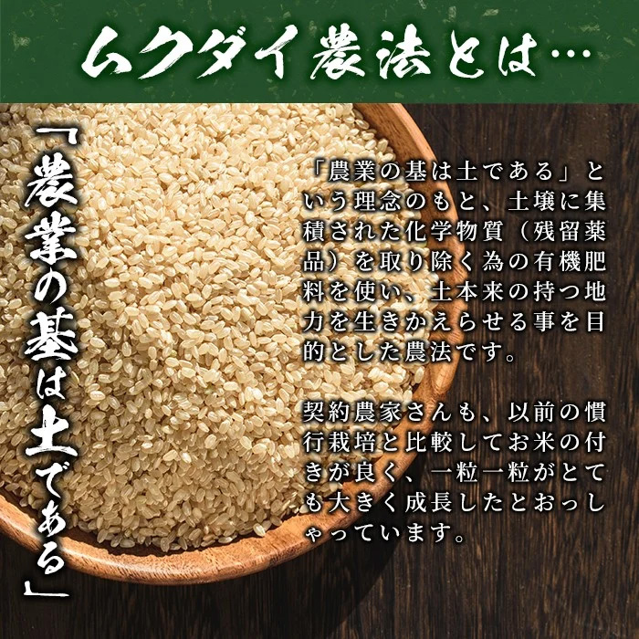 y225-R5C ＜無洗米＞6kg 日本棚田百選に選定されている「鹿児島県湧水町幸田棚田鉄山地区」のお米 国産 九州産 お米 おこめ 米 白米 玄米 無洗米 ご飯 ごはん【福永商店】