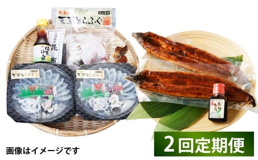 【2回定期便】【極】季節めぐり定期便2 ふぐ フグ 河豚 とらふぐ トラフグ てっさ てっちり うなぎ ウナギ 鰻 熊本県 上天草市