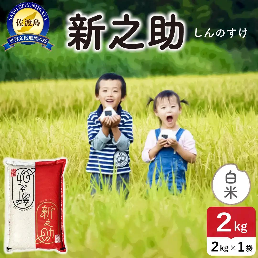 令和8年産 佐渡島産 新之助 白米2kg