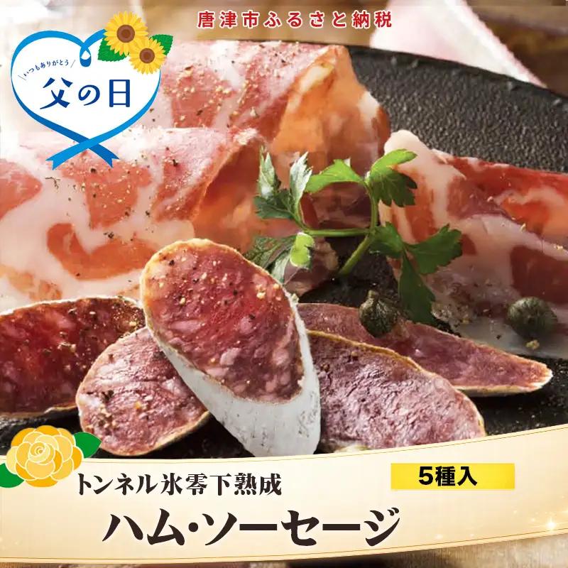 「父の日」トンネル氷零下熟成ハム・ソーセージセット TPC-2