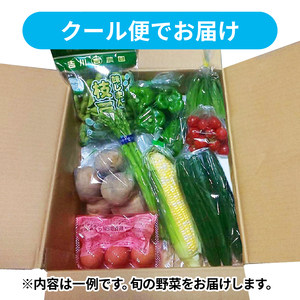 【 全3回定期便 】 野菜 詰め合わせ 産地 直送 10～14種 減農薬 栽培 旬 採れたて やさい 家庭用 健康 食材 静岡県 藤枝市 