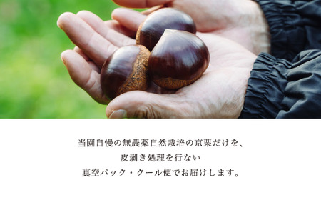 《12月発送》京栗 生むき栗 冷凍 2kg（250g×8袋） 栗 栗 栗