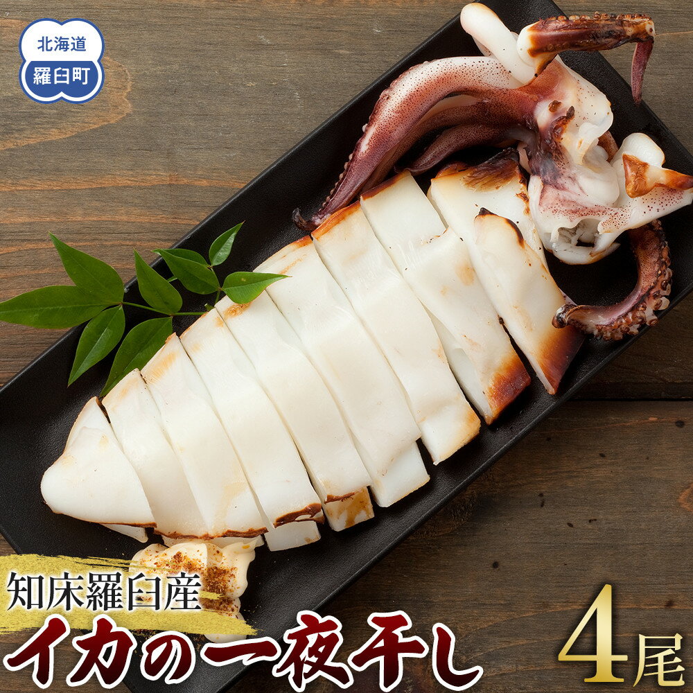 【ふるさと納税】数量限定 渋谷さん家の知床羅臼産 イカの一夜干し 中サイズ 4尾（200g前後×4パック） 北海道 海産物 魚介類 魚介 干物 肴 バーベキュー BBQ アウトドア 炭火 生産者 支援 応援 F21M-724