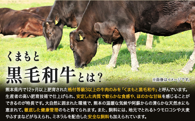 【ふるさと納税】 【A4～A5】くまもと黒毛和牛 切り落とし 500g 《30日以内に出荷予定(土日祝除く)》 牛肉 くまもと黒毛和牛 黒毛和牛 冷凍庫 切り落とし