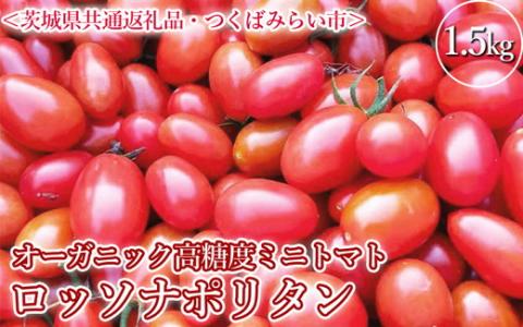 オーガニック高糖度ミニトマト「ロッソナポリタン」【農薬・肥料不使用】＜茨城県共通返礼品・つくばみらい市＞ ※2023年6月上旬～8月下旬頃に順次発送予定 | トマト とまと 薩摩芋 茨城県 _DM03