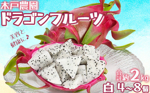 
                  木戸農園のドラゴンフルーツ 計約2kg（白4~8個） 先行予約 果物 フルーツ ＜113-008＞
                