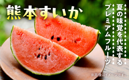 【数量限定】大玉すいか　1玉入り　約5kg【日本フルーツ株式会社】[AYDA003]