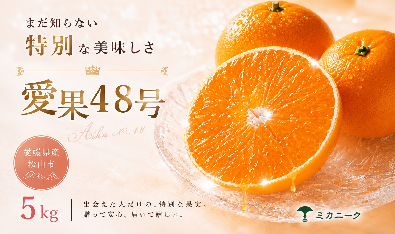 
                  【知る人ぞ知る】 幻の新品種 【愛果48号】 5kg 愛媛県産 国産 【2027年2月下旬頃から順次発送】 | 日本 みかん 愛果48号 あいか  蜜柑 アイカ 柑橘 果物 愛媛のみかん くだもの 贈答 フルーツ ご家庭用 数量限定 愛媛県産 ミカン 愛媛県 松山市
                