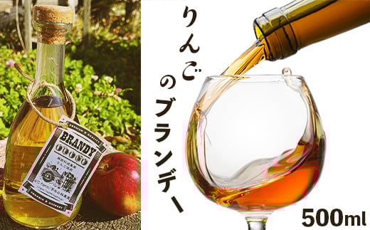 
            J0697りんごのブランデー500ml
          