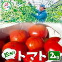 【ふるさと納税】訳あり トマト 約2kg | 規格外 不揃い とまと 野菜 旬野菜 サラダ 新鮮 農家直送 季節 限定 期間限定 しおやブランド※2025年3月上旬～5月中旬頃に順次発送予定