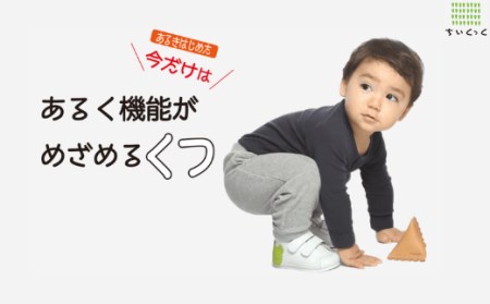 ちいくっく(R)〈あるく機能が目覚めるくつ〉(サイズ：13.5cm、柄：コッコさん＆ピコちゃん)