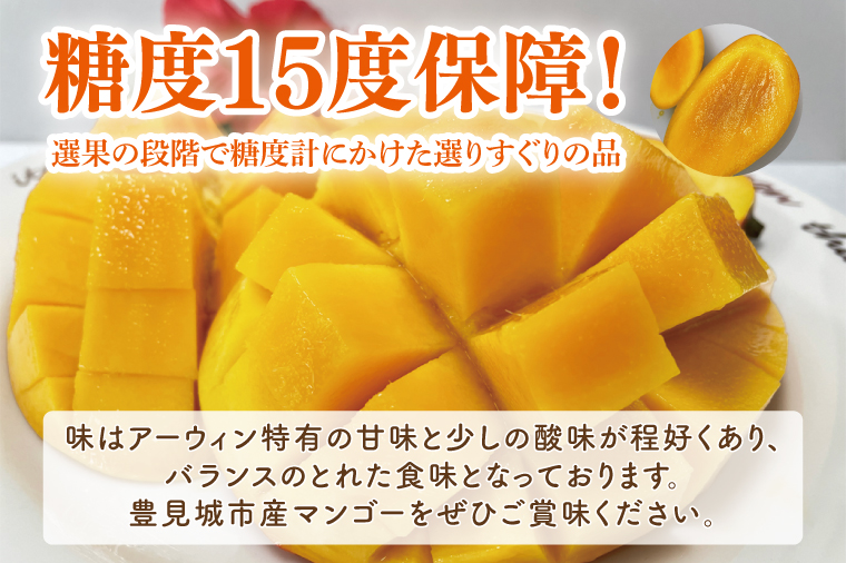 【2025年6月下旬より順次発送】糖度15度保障！プレミアムマンゴー 3～4玉(約1.5kg)(化粧箱)｜沖縄県 豊見城市 マンゴー プレミアムマンゴー プレミアム フルーツ 果物 くだもの おきなわ