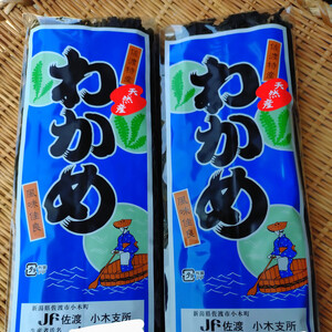 佐渡産　天然乾燥わかめ1袋100g×2個　柔らかい天然乾燥わかめ