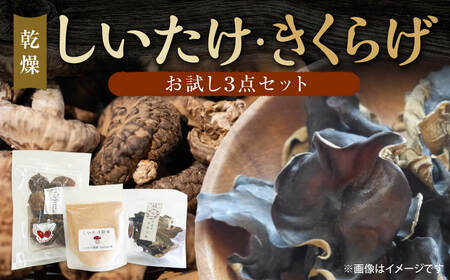 【お試し３点セット】しいたけ・きくらげセット 合同会社knot I-313 炊き込みご飯 だし 乾燥 栄養 美容 ビタミンD 鉄 カルシウム