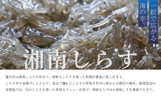 鵠沼魚醤 3本 セット 魚醤 魚 イワシ いわし カタクチイワシ 天然塩 調味料 発酵 熟成 万能 旨味 うま味 旨味成分 隠し味 芳醇 塩 醤油 出汁 だし ダシ 10000円 一万円 ぎょしょう 