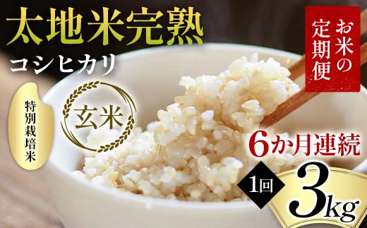 【先行予約】お米の定期便 特別栽培米 太地米完熟 【こしひかり】 玄米3kg×6か月連続 ブランド米 お米 人気 F7X-0697