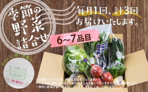 先行予約 定期便 3ヶ月 飛騨の野菜 6～7点 野菜セット 3回 お届け 飛騨高山産 野菜  秋野菜 おまかせ お取り寄せ  産地直送 飛騨産 夏 秋 ふるさと納税定期便    GN100