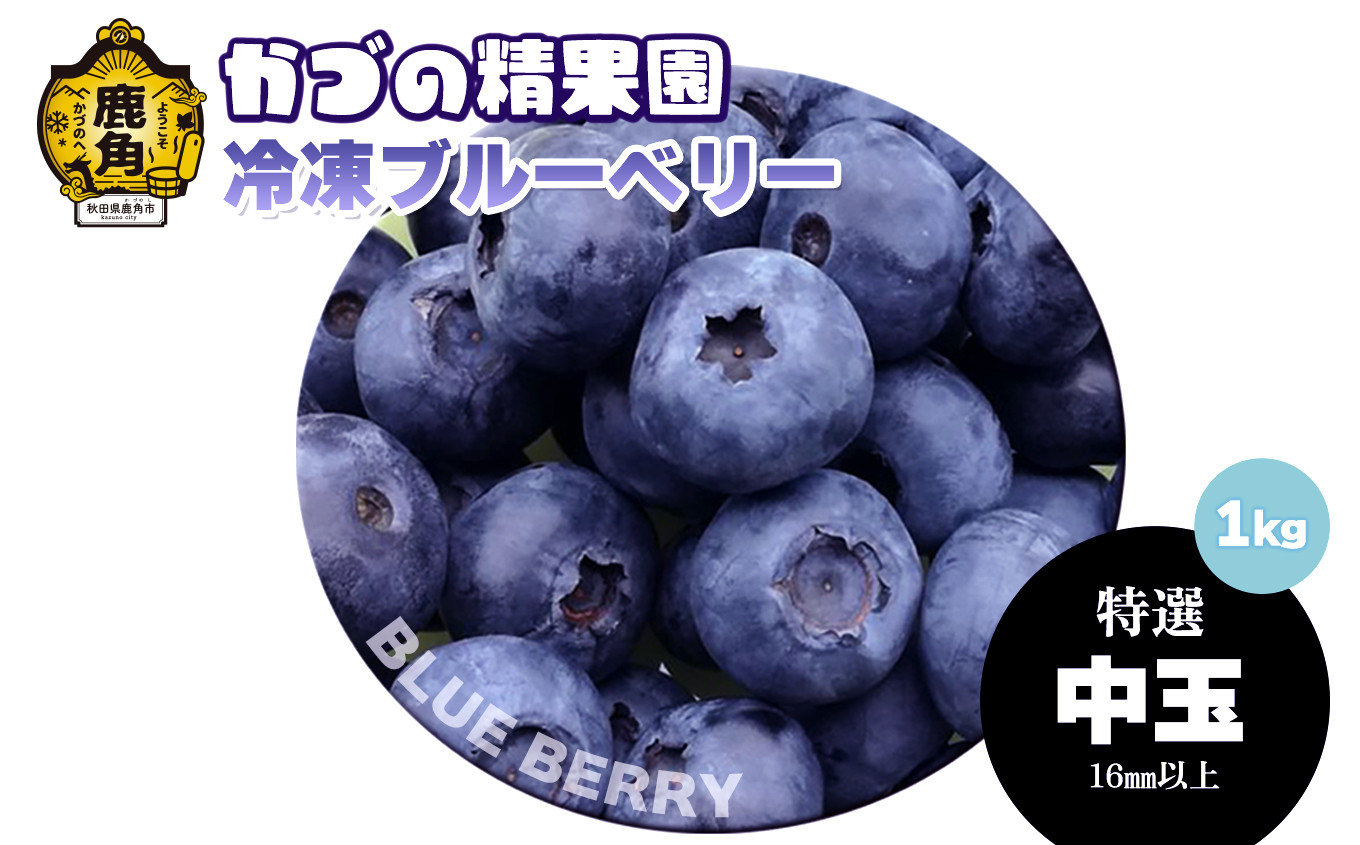 
            【発送時期選択】《 先行予約 》ブルーベリー（冷凍）特選 中玉 1kg 単品 【かづの精果園】選べる 発送時期 選択 無農薬 新鮮 旬 国産 冷凍 ジュース スムージー レシピ 効能 栄養 ダイエット お取り寄せ 母の日 父の日 グルメ ギフト 故郷 秋田 あきた 鹿角市 鹿角 送料無料
          