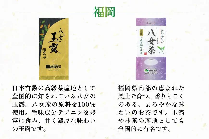 緑茶 飲み比べ 九州 一番摘み 銘茶 5種 各2本 お茶
