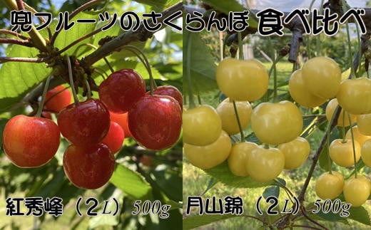 
            7-020-019　兜フルーツのさくらんぼ食べ比べ（紅秀峰・月山錦）1kg
          