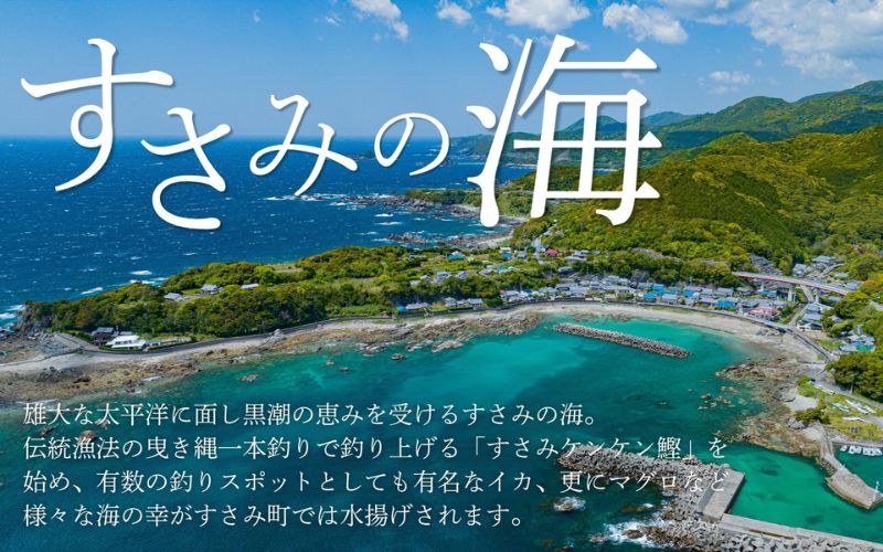 国産 急速冷凍牡蠣 加熱用 中サイズ 10個 / 牡蠣 殻付き 海鮮 かき カキ 冷凍 【mix003】