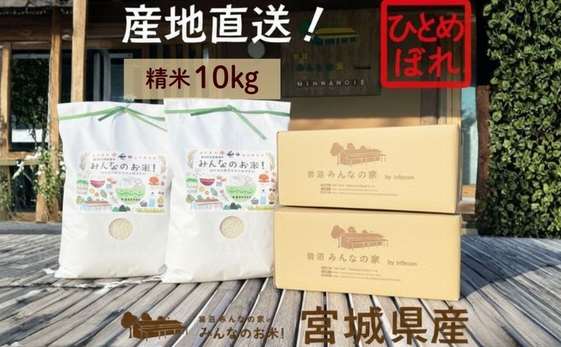 米 ひとめぼれ 精米 10kg ご飯 Aランク米