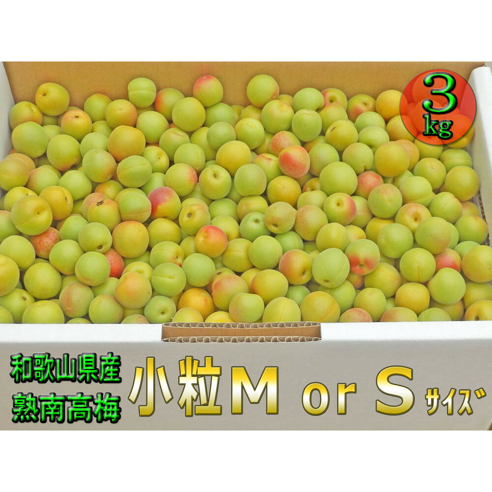 【ふるさと納税】［梅干・梅酒用］小粒（SまたはM－3Kg）熟南高梅＜2027年6月上旬～7月中旬発送予定＞フルーツ 果物 くだもの 食品 人気 おすすめ 送料無料［ART20］ | 梅 フルーツ 果物 くだもの 食品 人気 おすすめ 送料無料