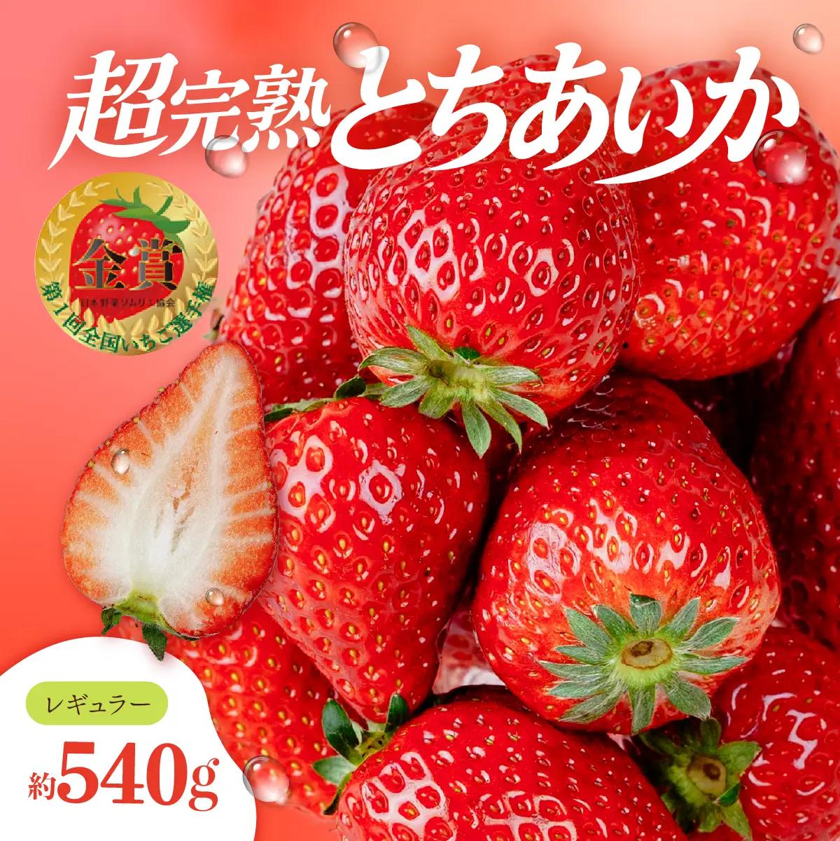 いちご【3月以降発送】朝採れとちあいか レギュラー 約270g×2パック 合計 約540g | いちご 栃木県 茂木町