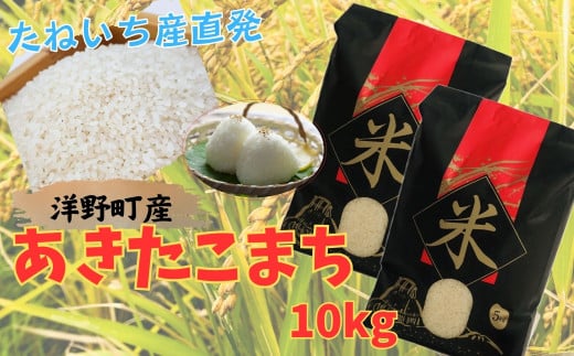 【令和7年産】洋野町産あきたこまち10㎏（5㎏×2袋）