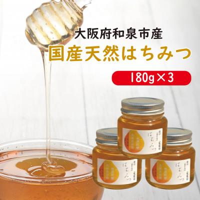ふるさと納税 和泉市 大阪府和泉市　国産天然はちみつ(180g×3)　日蜂協会員　無添加　自家採蜜　大植養蜂園